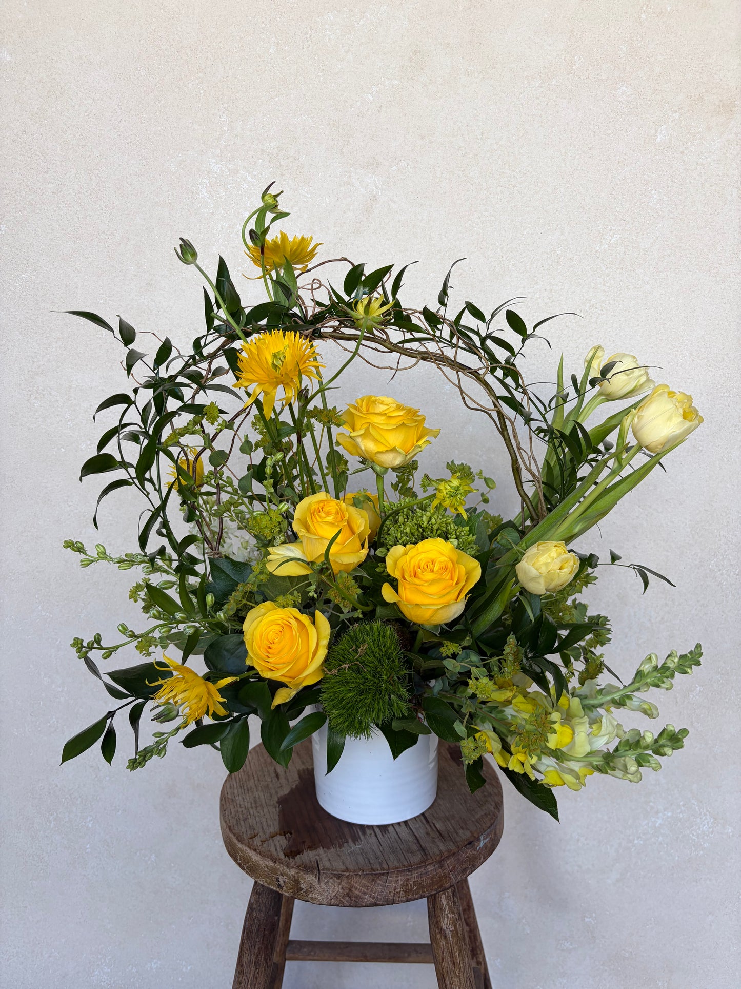 The Shirley