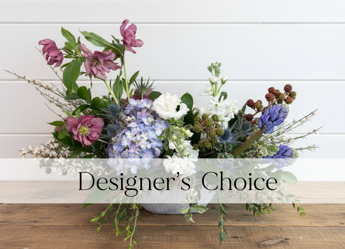 Designer's Choice