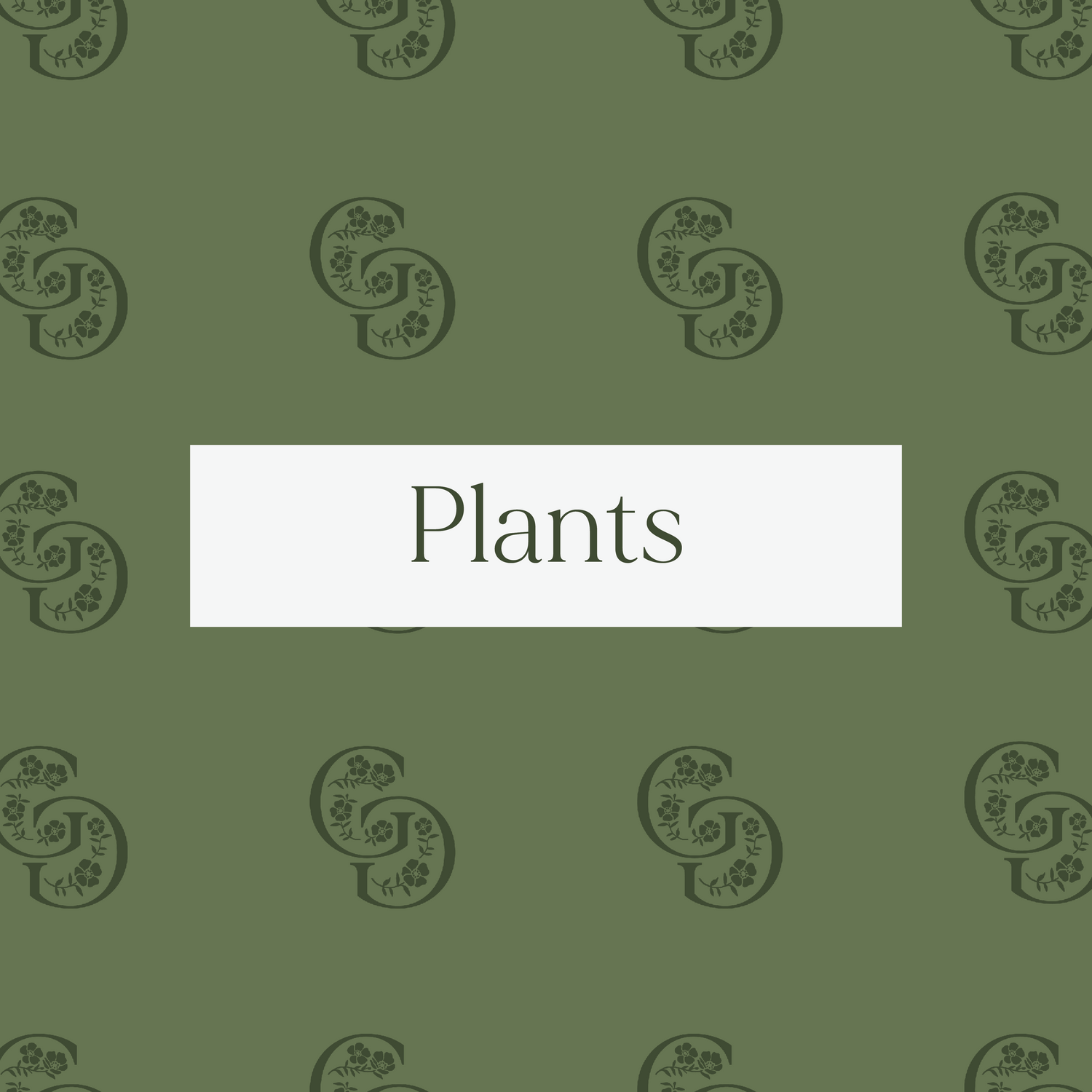 Plants