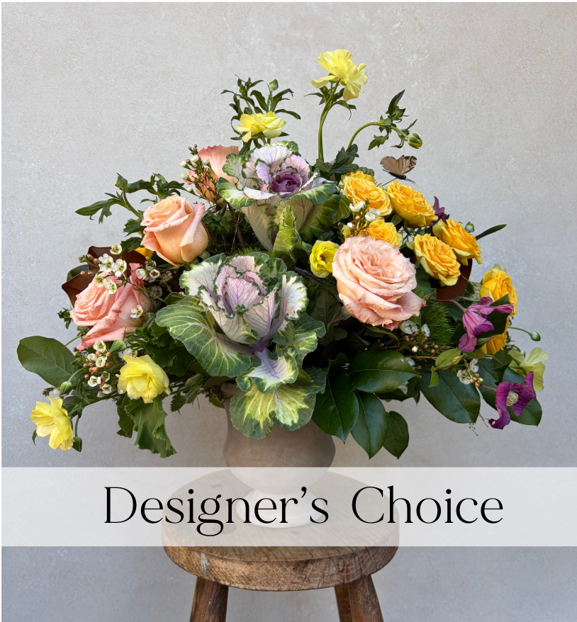 Designer's Choice