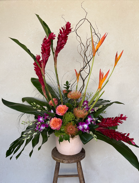Orange bird of paradise, orchids, garden roses, and coral pincushion protea in the Gia from the Garden Gate Florist